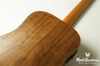 BT1e Walnut